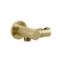 Adjustable Hand Shower Holder and BP - Brushed Brass