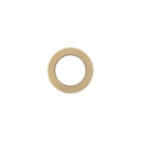 Backplate - 62mm Minimal/Progressive - Brushed Brass