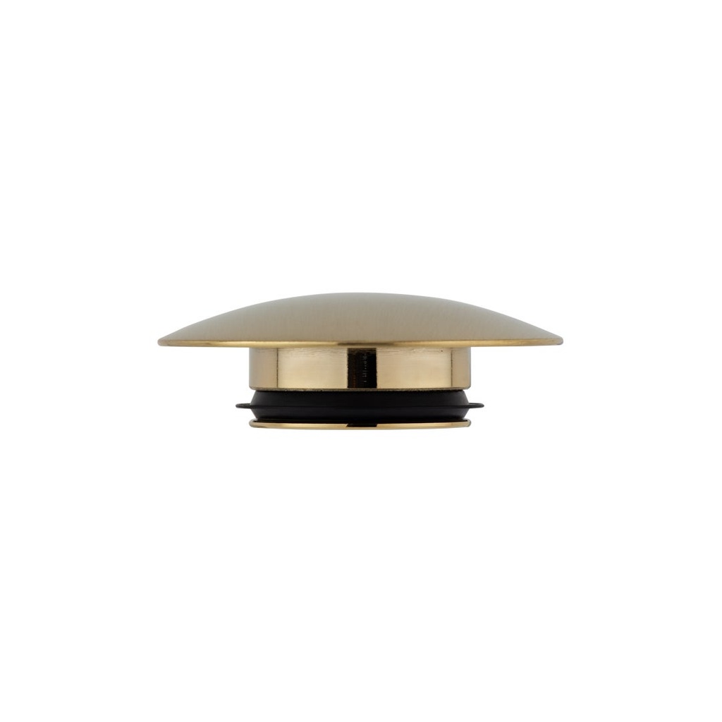[12609] Lid - Avi Pop-Up - Brushed Brass