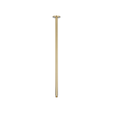 Shower Dropper Extended Round 600mm - Brushed Brass