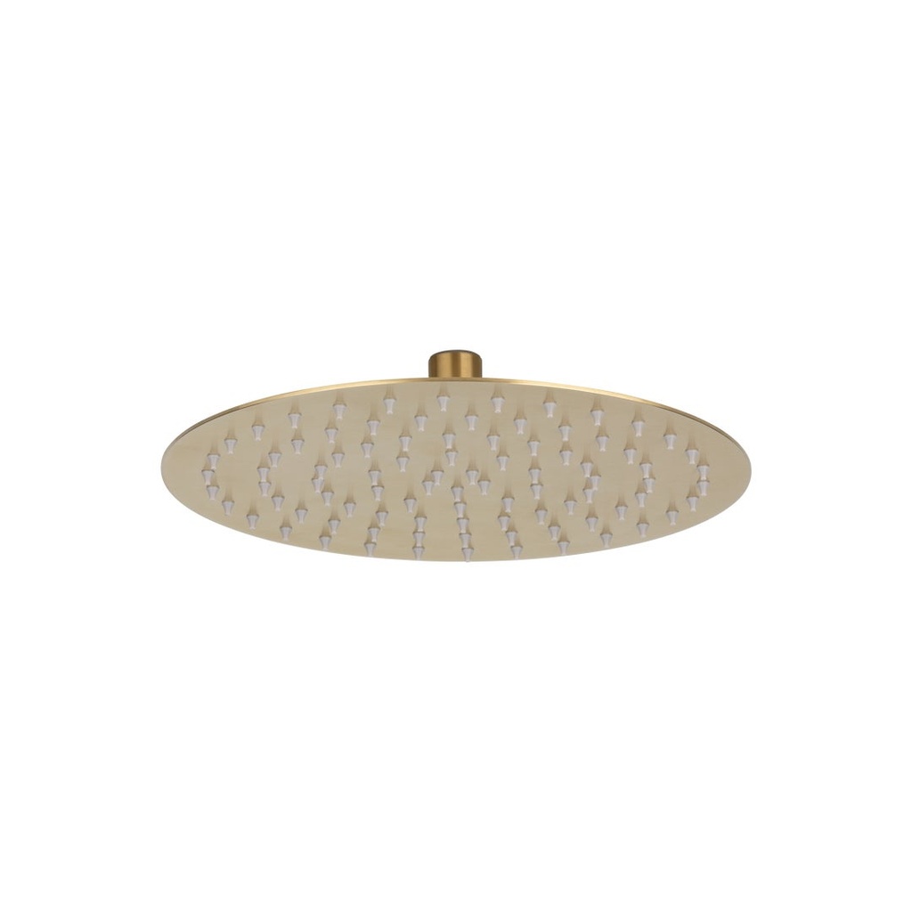 [13050] Sola Shower Head - Brushed Brass