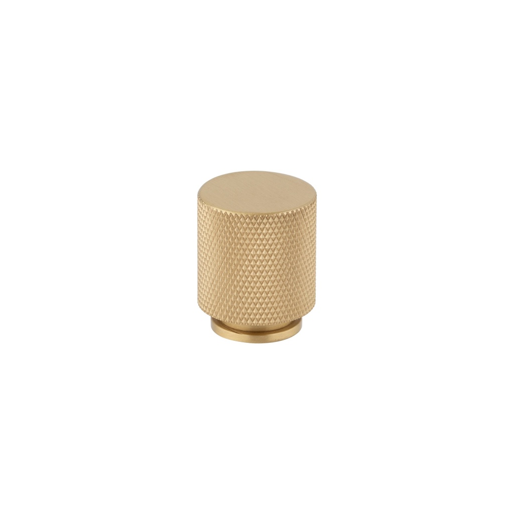 [15601] Tezra Textured Cabinetry Knob - Brushed Brass