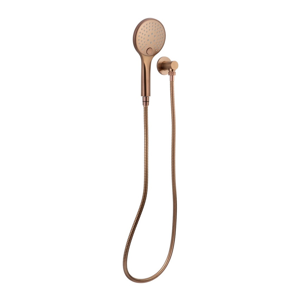 [15625] Aliro Accessible 3-Function Hand Shower Set - Brushed Copper