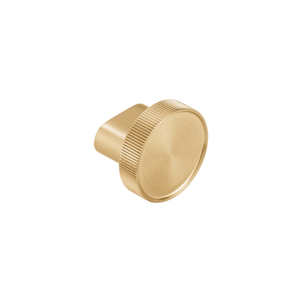 Namika Robe Hook/Cabinetry Knob - Brushed Brass