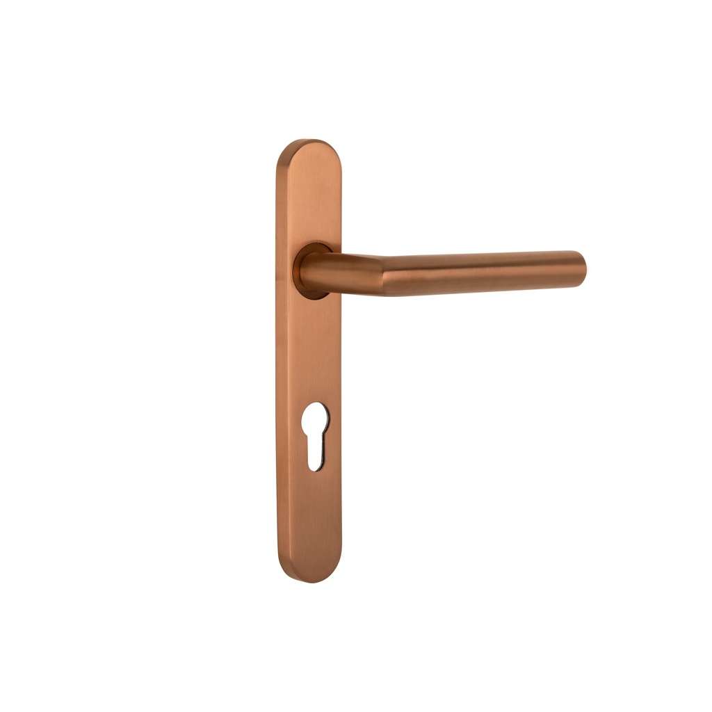 [16302] Davis Entry Door Handle - Brushed Copper