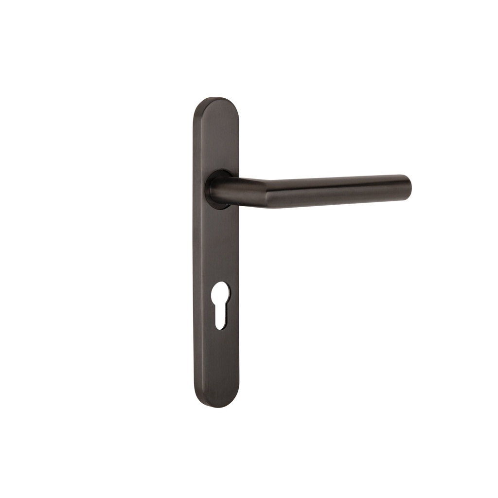 [16303] Davis Entry Door Handle - Brushed Gunmetal