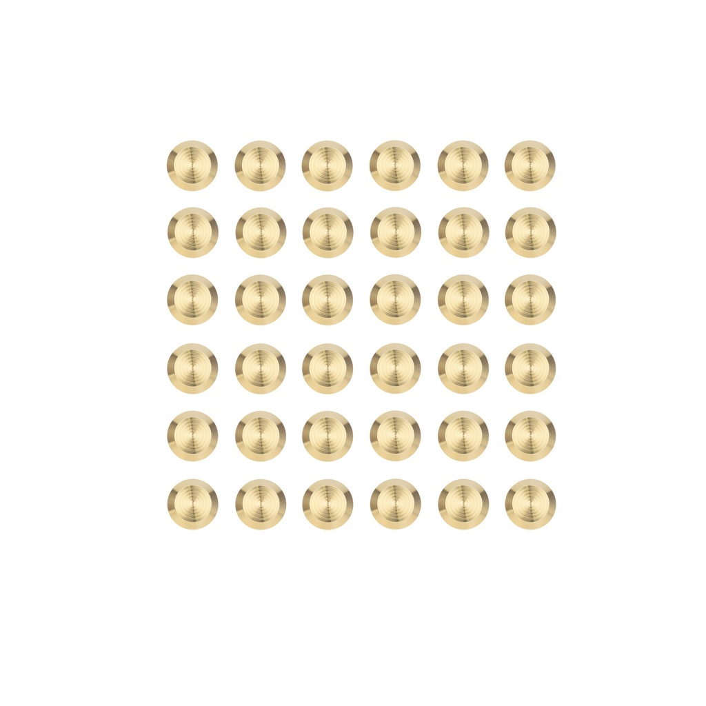 [16461] Aliro Tactile Indicators (36 PCS) - Brushed Brass