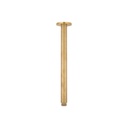 Shower Dropper Round 300mm - Tumbled Aged Brass