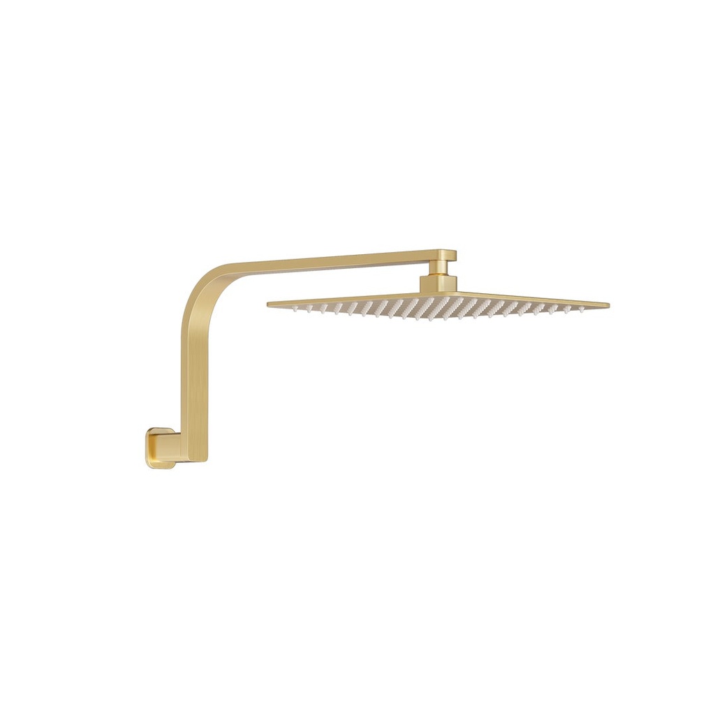 [17057] Nesso Shower Arm & Head Set - Brushed Brass