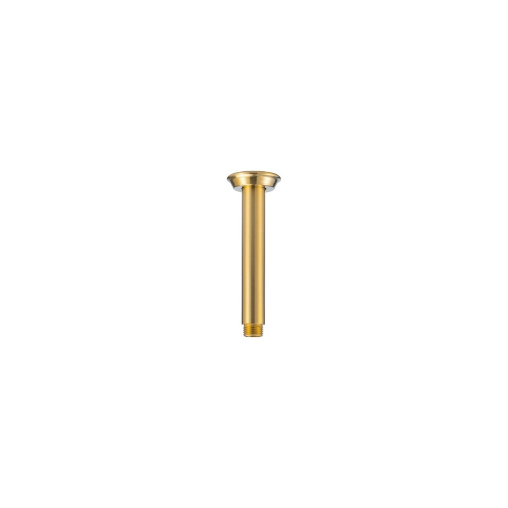 Kingsley Shower Dropper 150mm - Brushed Brass