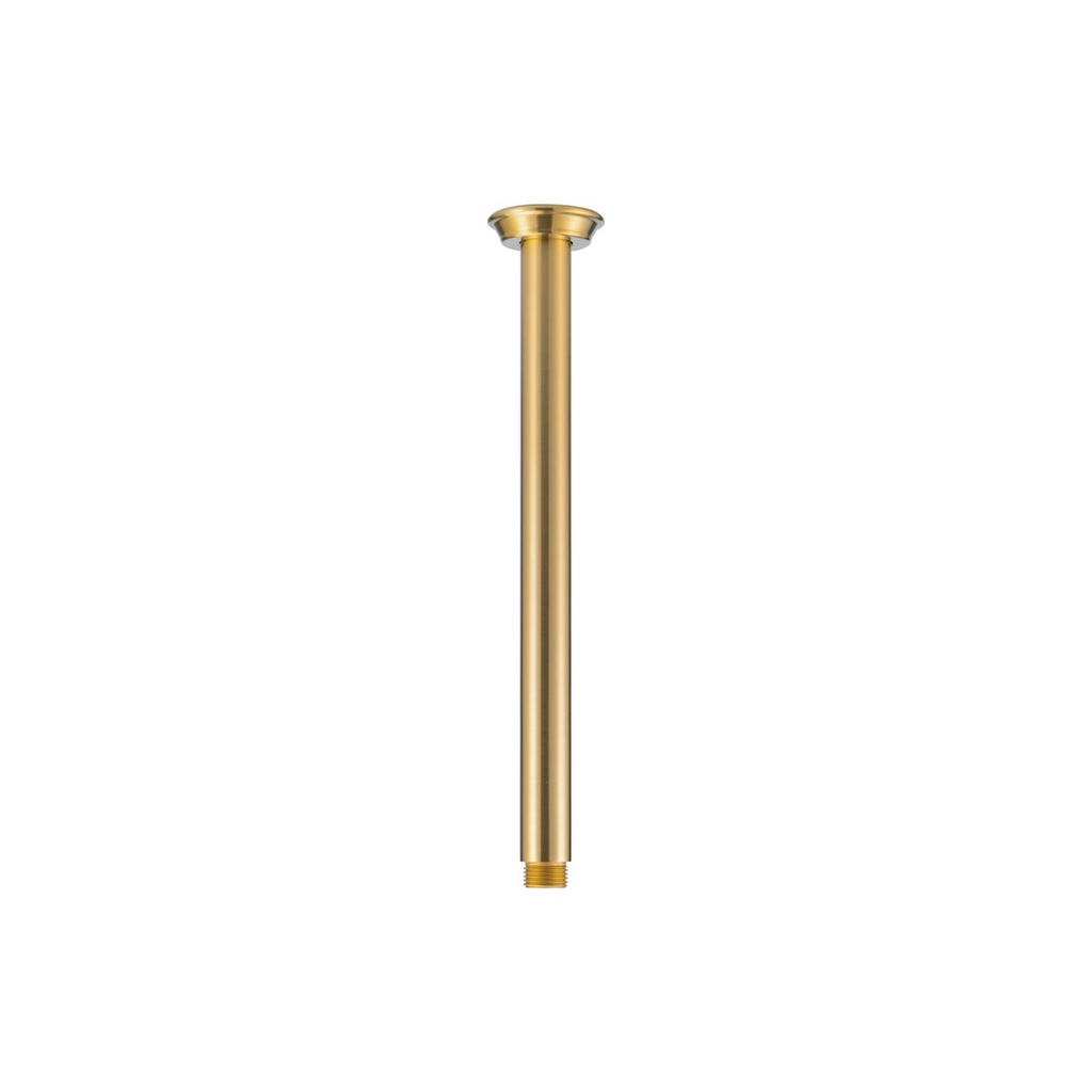 Kingsley Shower Dropper 300mm - Brushed Brass