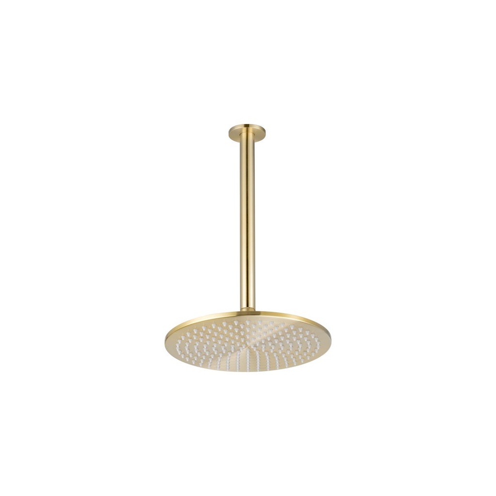 [18116] Shower Dropper Round 300mm &amp; Head Set - Brushed Brass