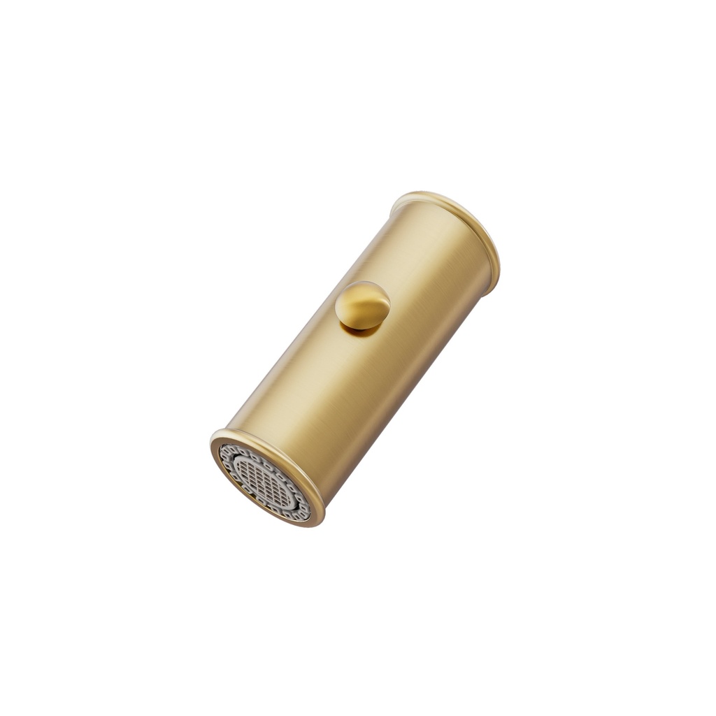 [19773] Kingsley Pull-Out Spray Attachment - Brushed Brass