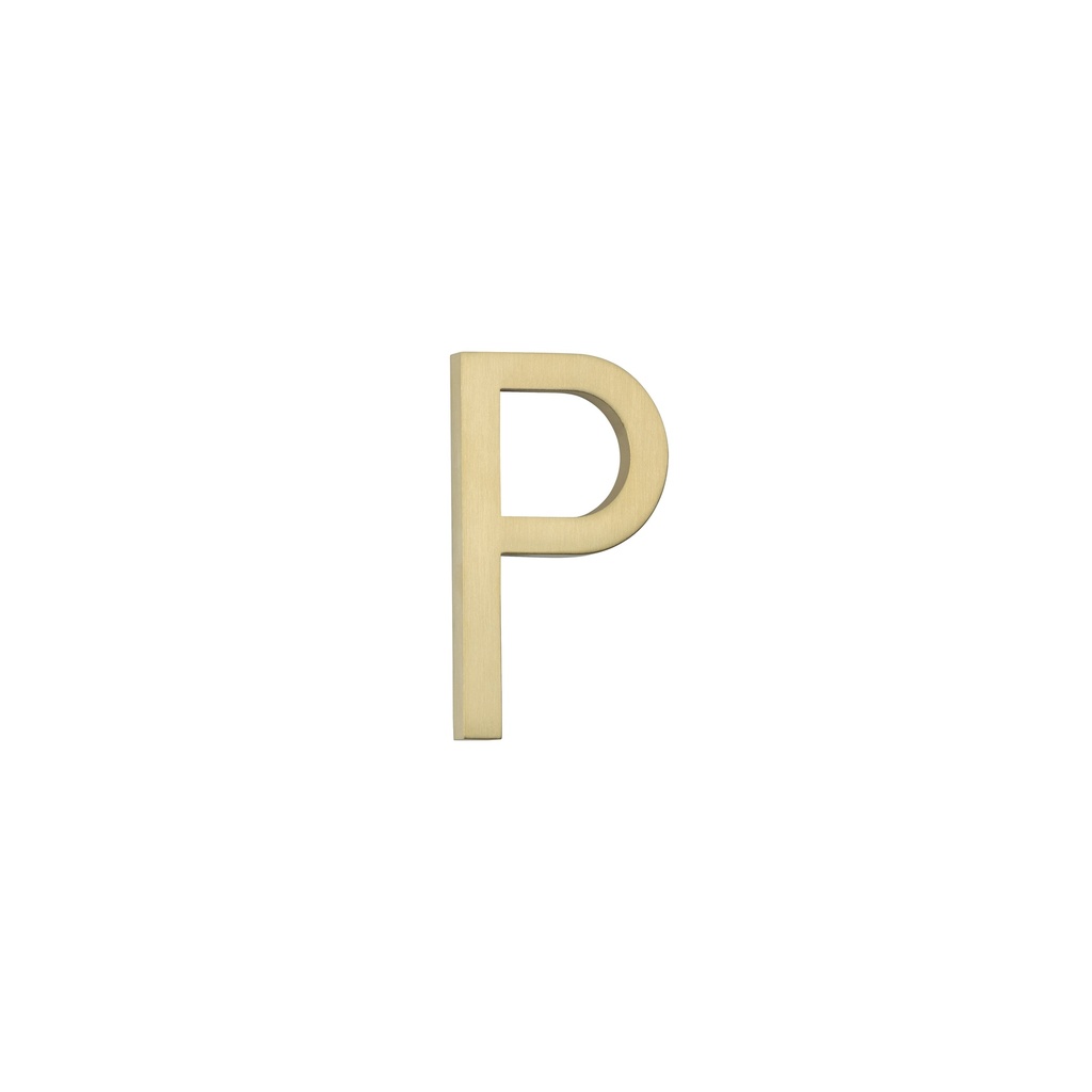 [14865] P Letter - 60mm - Brushed Brass