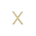 X Letter - 60mm - Brushed Brass