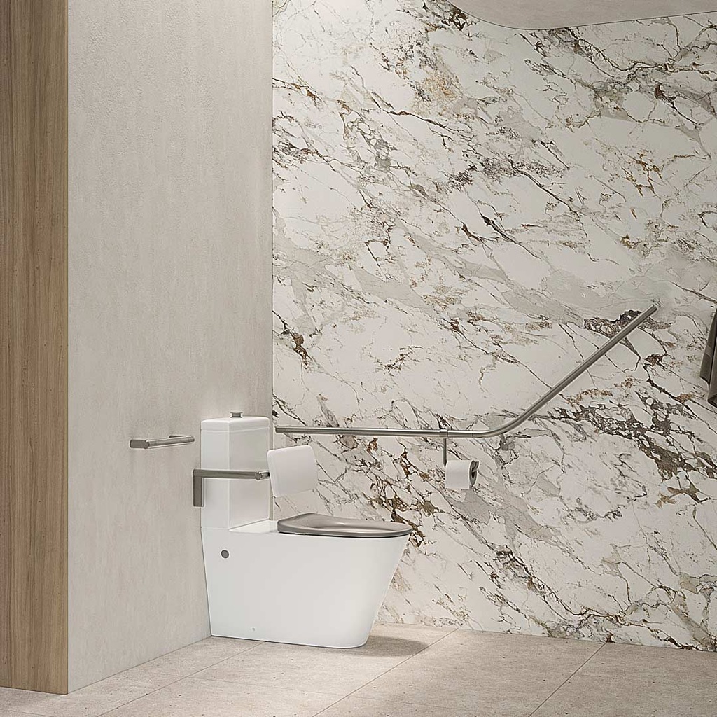 [15315] Aliro - Accessible Back To Wall Toilet Suite - Cistern