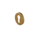 Escutcheon Round Back Plate - Antique Aurum