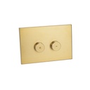 Aliro In-Wall Cistern Flush Plate - Brushed Brass