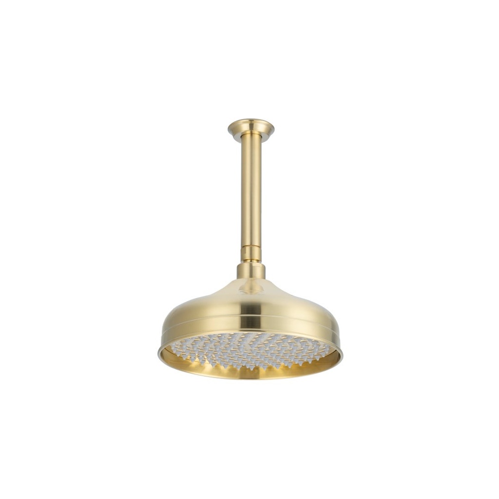 [19139] Kingsley Shower Dropper 150mm and Head Set - Brushed Brass