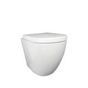 Asher Toilet Suite & In-Wall Cistern