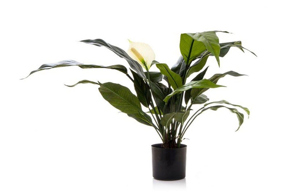 Flora Artificial Spathiphyllum Lily 530mm White
