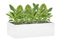 Flora Hosta Plant Real Touch in Pot - Set of 6