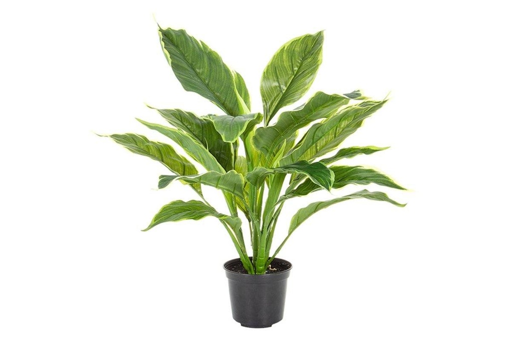 Flora Hosta Plant Real Touch in Pot