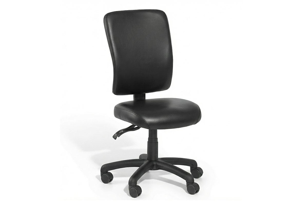 Gregory Boxta Dual Density Ergonomic Office Chair - Deluxe Seat [High Back]