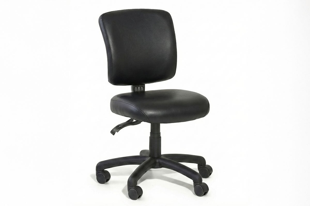 Gregory Boxta Dual Density Ergonomic Office Chair - Deluxe Seat [Medium Back]