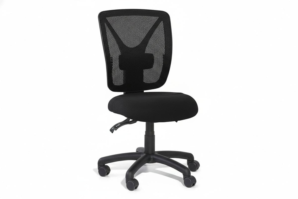 Gregory Evoke Dual Density Ergonomic Office Chair - Split Seat [Medium Back]