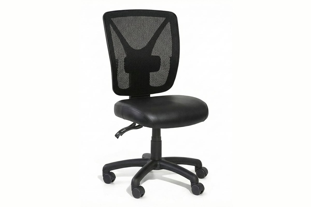 Gregory Evoke Dual Density Ergonomic Office Chair - Deluxe Seat [Medium Back]