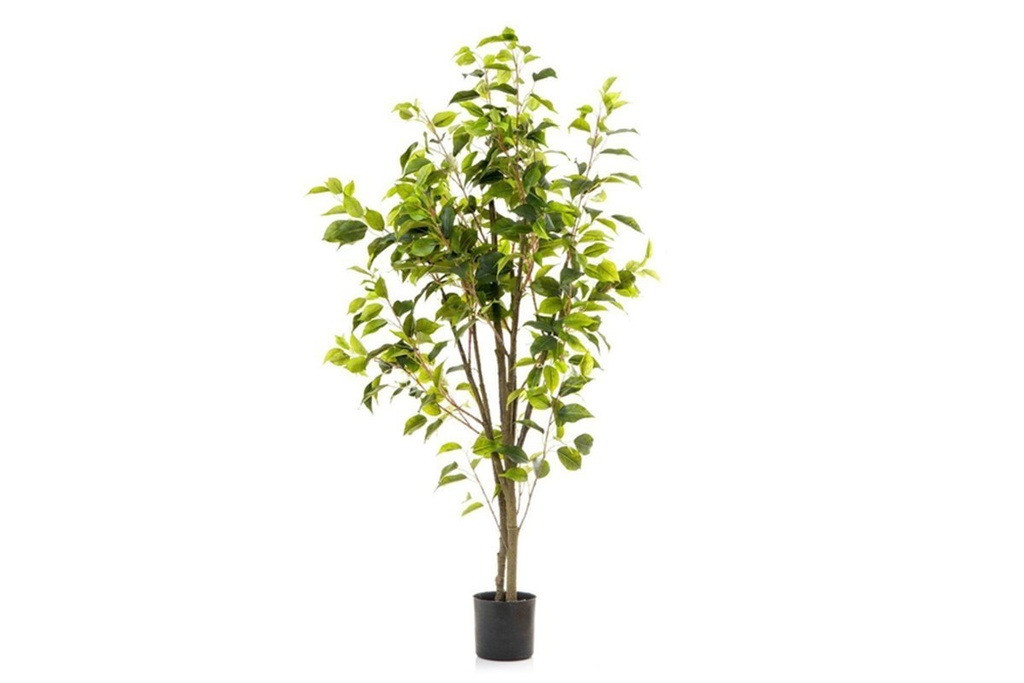 [NONE|0(DBF4480B|162)] Flora Artificial Ficus 1200mm