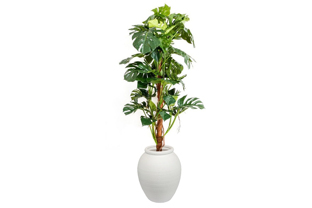 [NONE|0(DBSP448|426)] Flora Artificial Split-Leaf Philodendron 1500mm