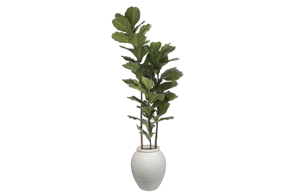 [NONE|0(TCFID16859|427)] Flora Artificial Fiddle Leaf Tree 1680mm
