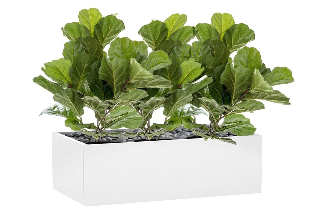 [TCFID6536|321(TCFID6536,TCFID6536|0,0)] Flora Fiddle Leaf Fig Potted Plant with 36 Leaves 650mm H - Set of 3