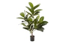 Flora Rubber Plant Tree with 58 Leaves 960mm H