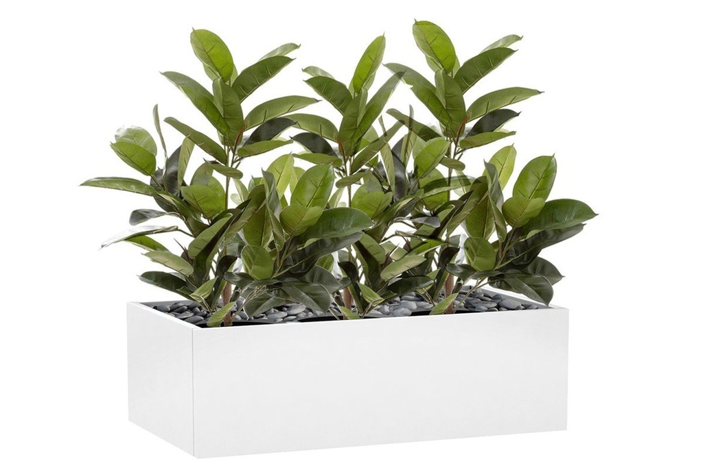 [TCRUB9658|489(TCRUB9658,TCRUB9658|0,0)] Flora Rubber Plant Tree with 58 Leaves 960mm H - Set of 3