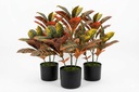 Artificial Cronton Leaves in Black Pot - Pack of 3