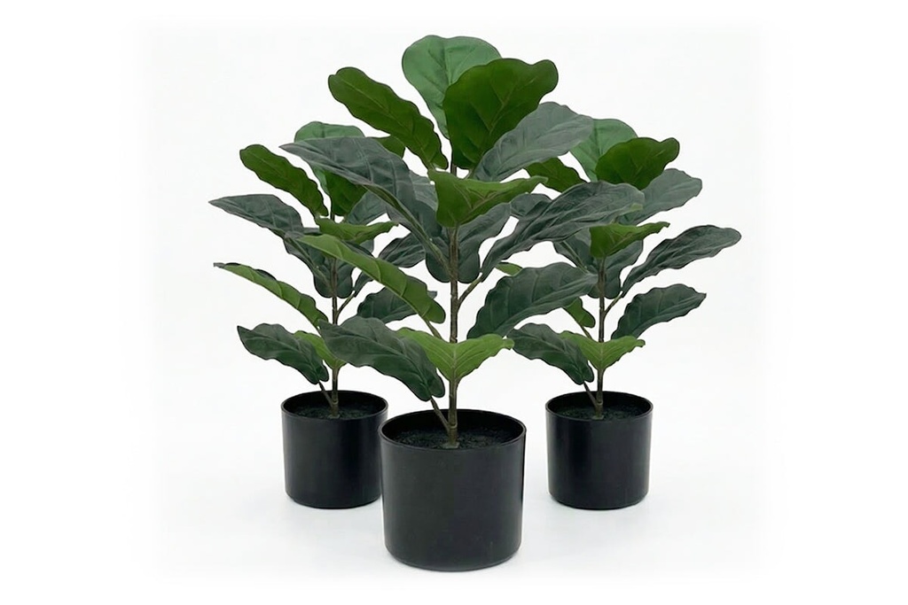 Artificial Fiddle Leaves in Black Pot - Pack of 3