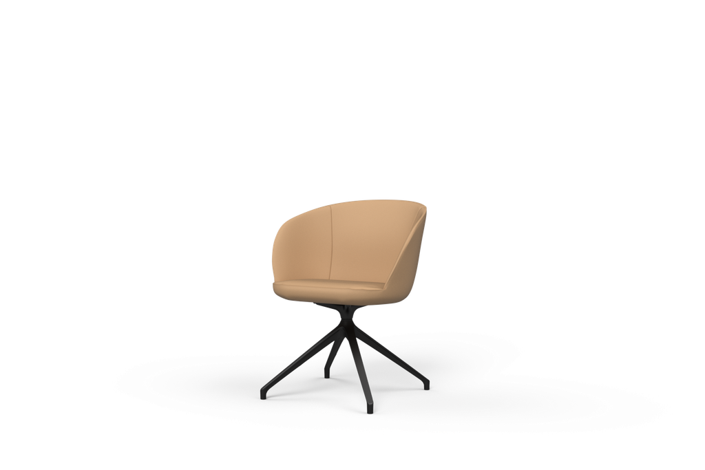 [194268_37611_0] Mina Meeting Chair