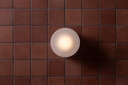 Odie Wall Sconce