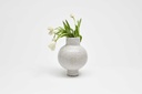 Bulb Vessel Natural Spreckle