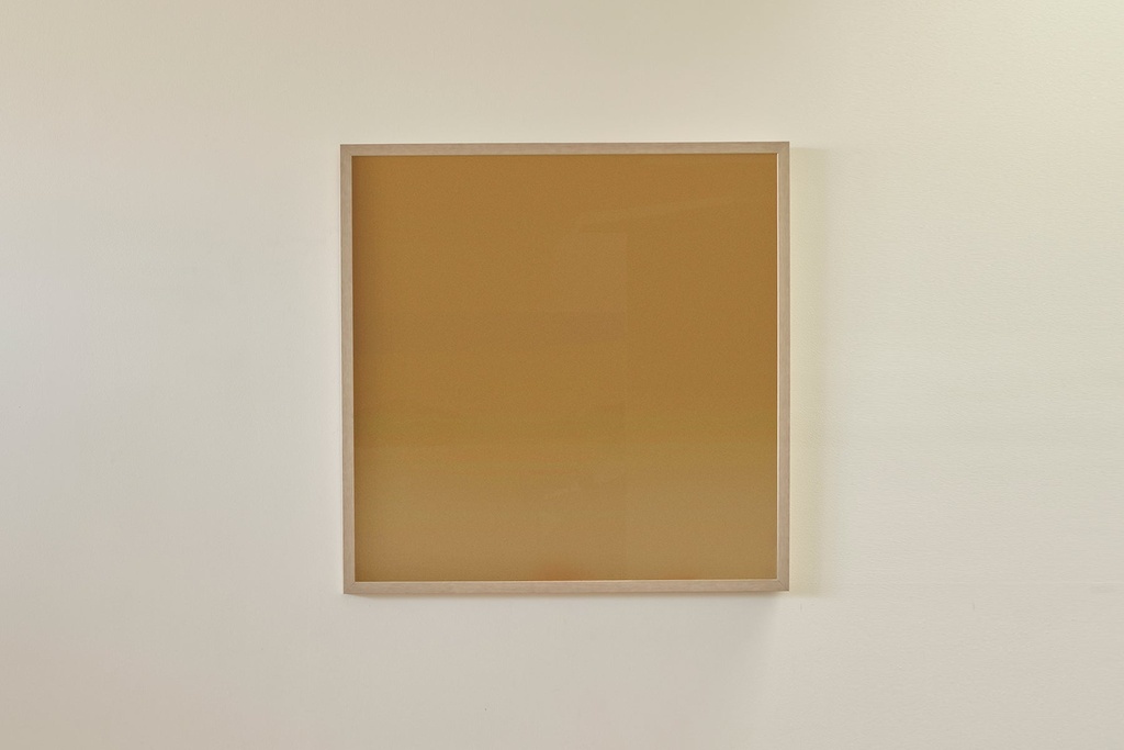 [6001-130-1-01] Moonside Series - Mustard